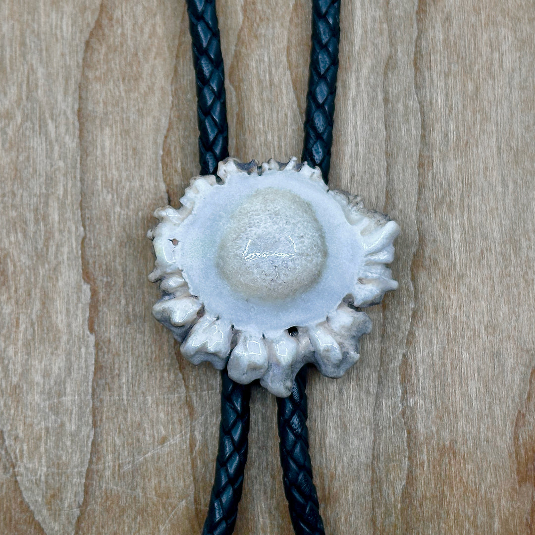Plain Antler Bolo Tie—one of a kind western bolo tie made from real antler in Montana by 406 Antlery