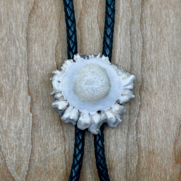Plain Antler Bolo Tie—one of a kind western bolo tie made from real antler in Montana by 406 Antlery