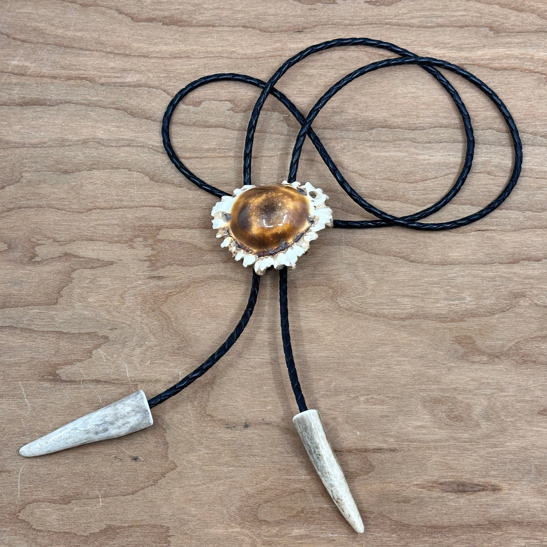 Plain Antler Bolo Tie—one of a kind western bolo tie made from real antler in Montana by 406 Antlery