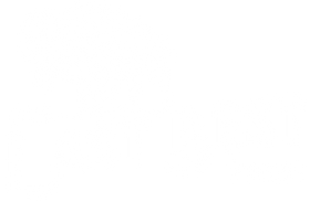 Small logo for The Last Best Store