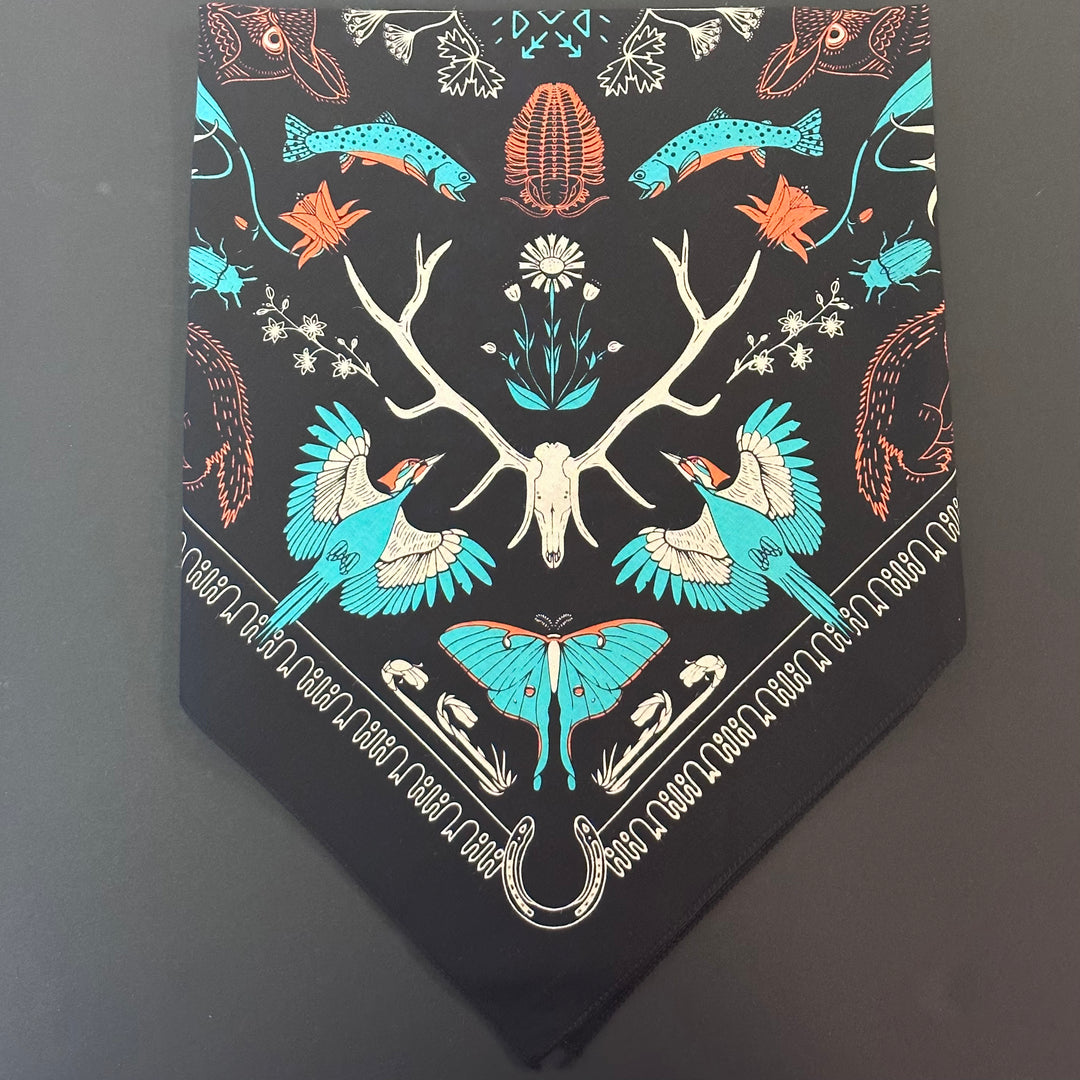 Bob Marshall Wilderness - Black Bandana
