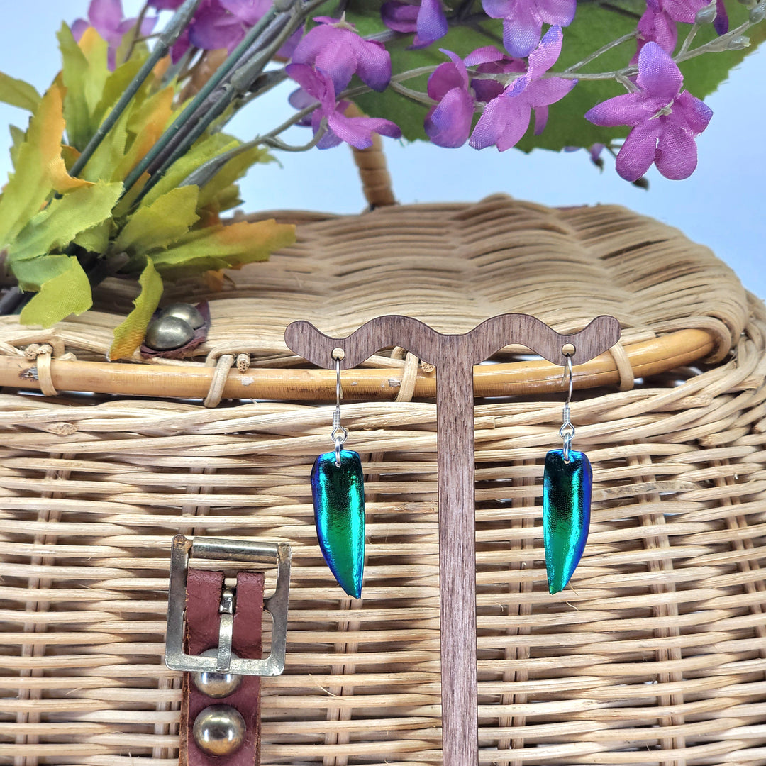 Green Jewel Beetle Elytra Earrings with Stainless Steel Wires