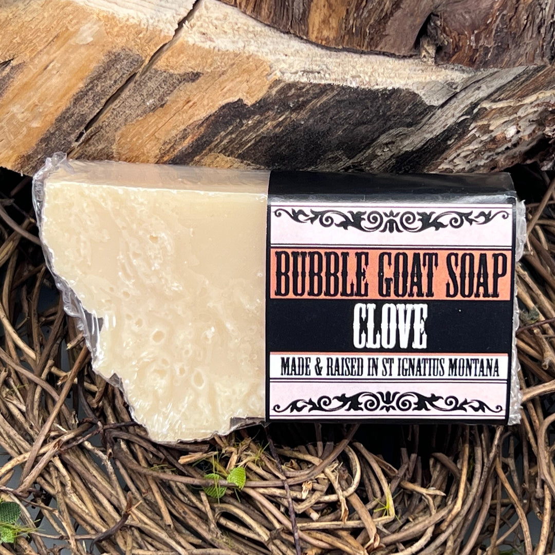 Clove Bubble Goat Soap