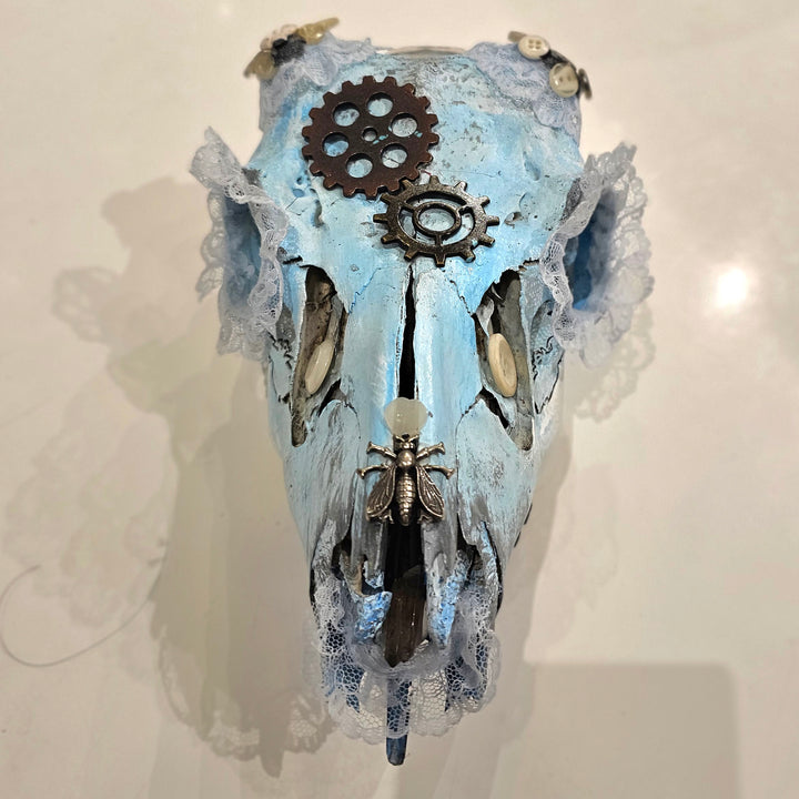 Blue Lace Deer Skull
