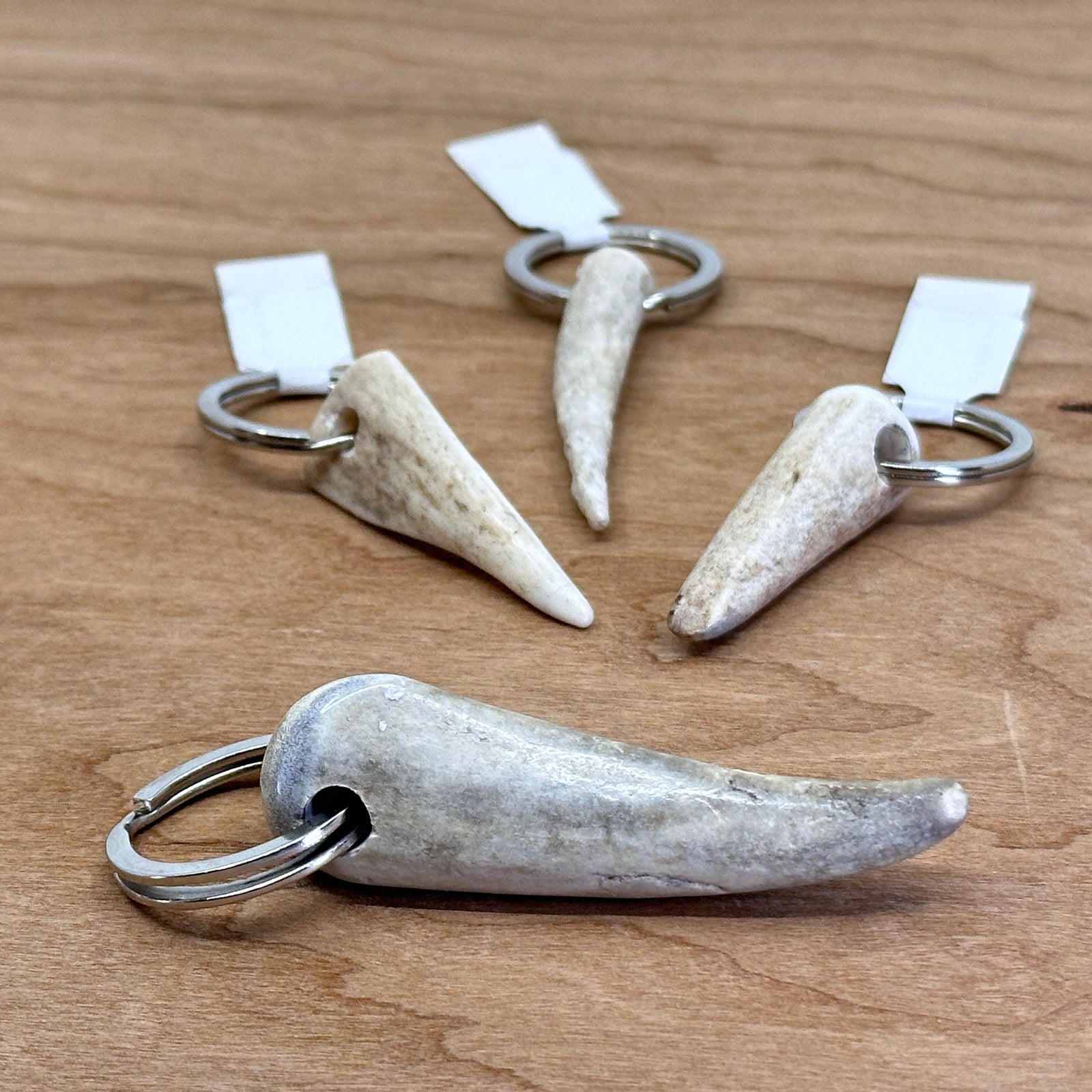 Real Antler Keychains - keychain split key ring with real antler tip in a variety of sizes - made in Montana by 406 Antlery