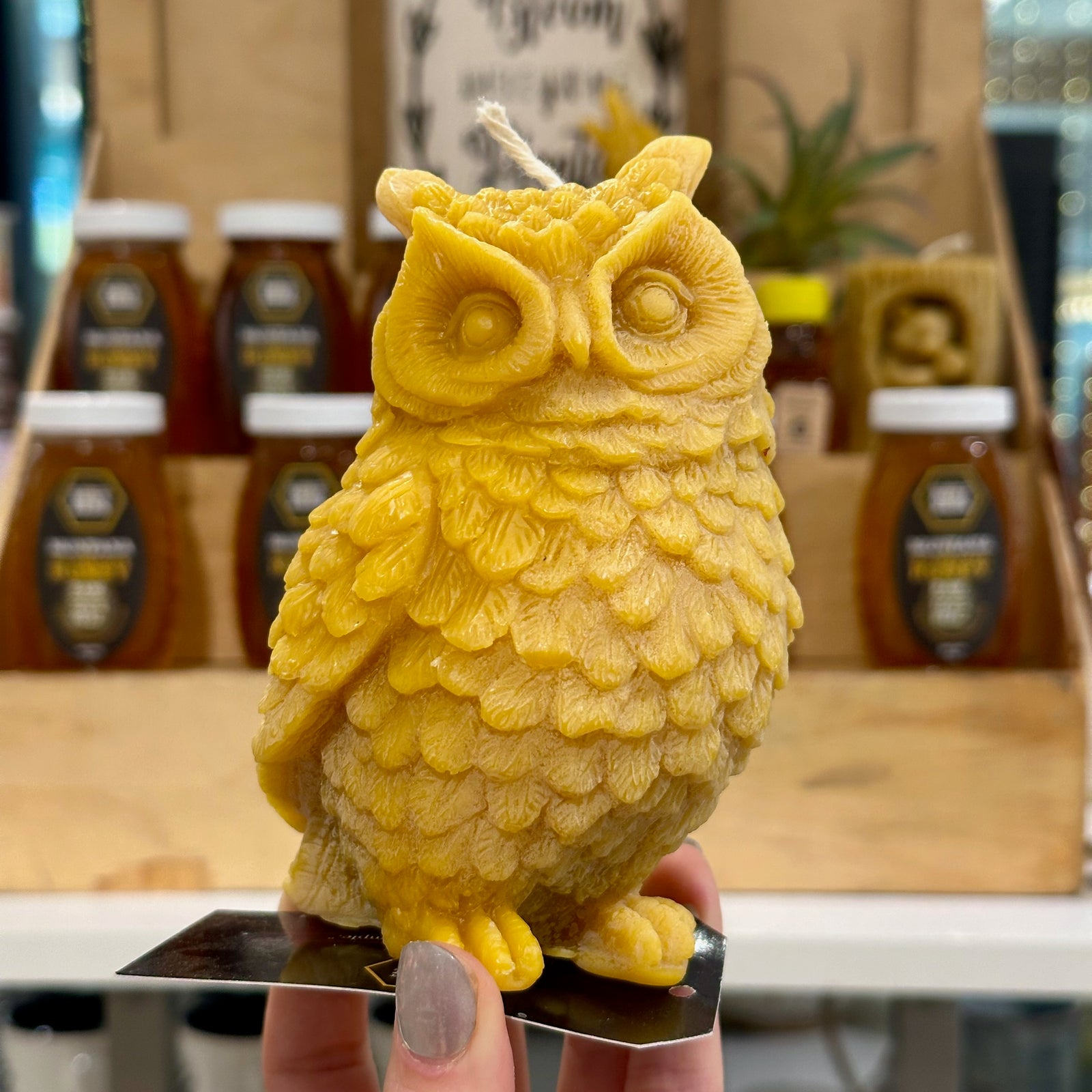 A golden yellow owl candle made of 100% pure Montana beeswax