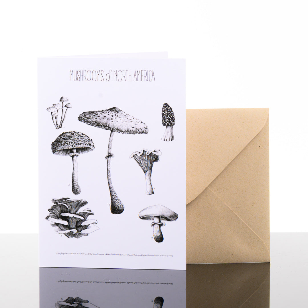 Blank greeting card featuring original black and white artwork by Brittany Finch - assorted wild mushrooms of North America - and kraft brown envelope by Brittany Finch Art in Montana