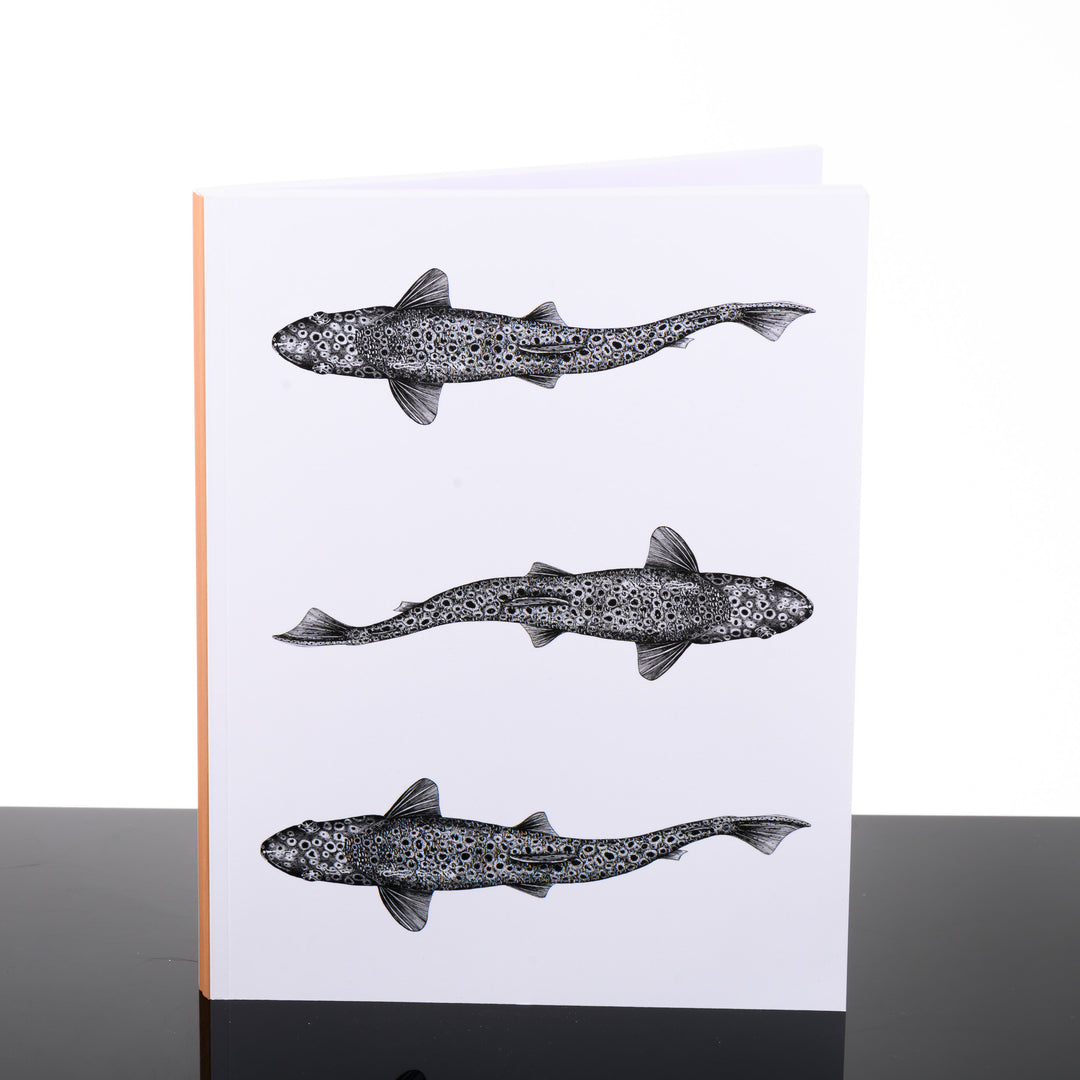 Notebook featuring original artwork by Brittany Finch - three swimming brown trout viewed from above - handmade by Brittany Finch Art in Montana