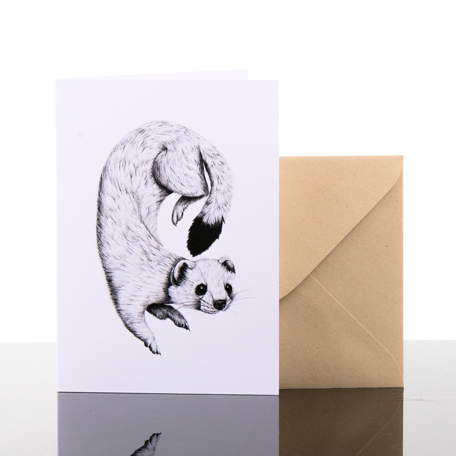 Blank greeting card featuring original black and white artwork by Brittany Finch - a curled winter ermine, peering curiously at the viewer - and kraft brown envelope by Brittany Finch Art in Montana