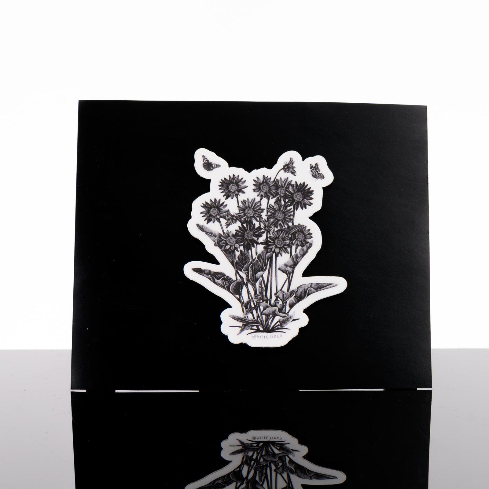 Black and white sticker featuring original artwork of an arrowleaf balsamroot plant and hovering butterflies, made in Montana by Brittany Finch Art