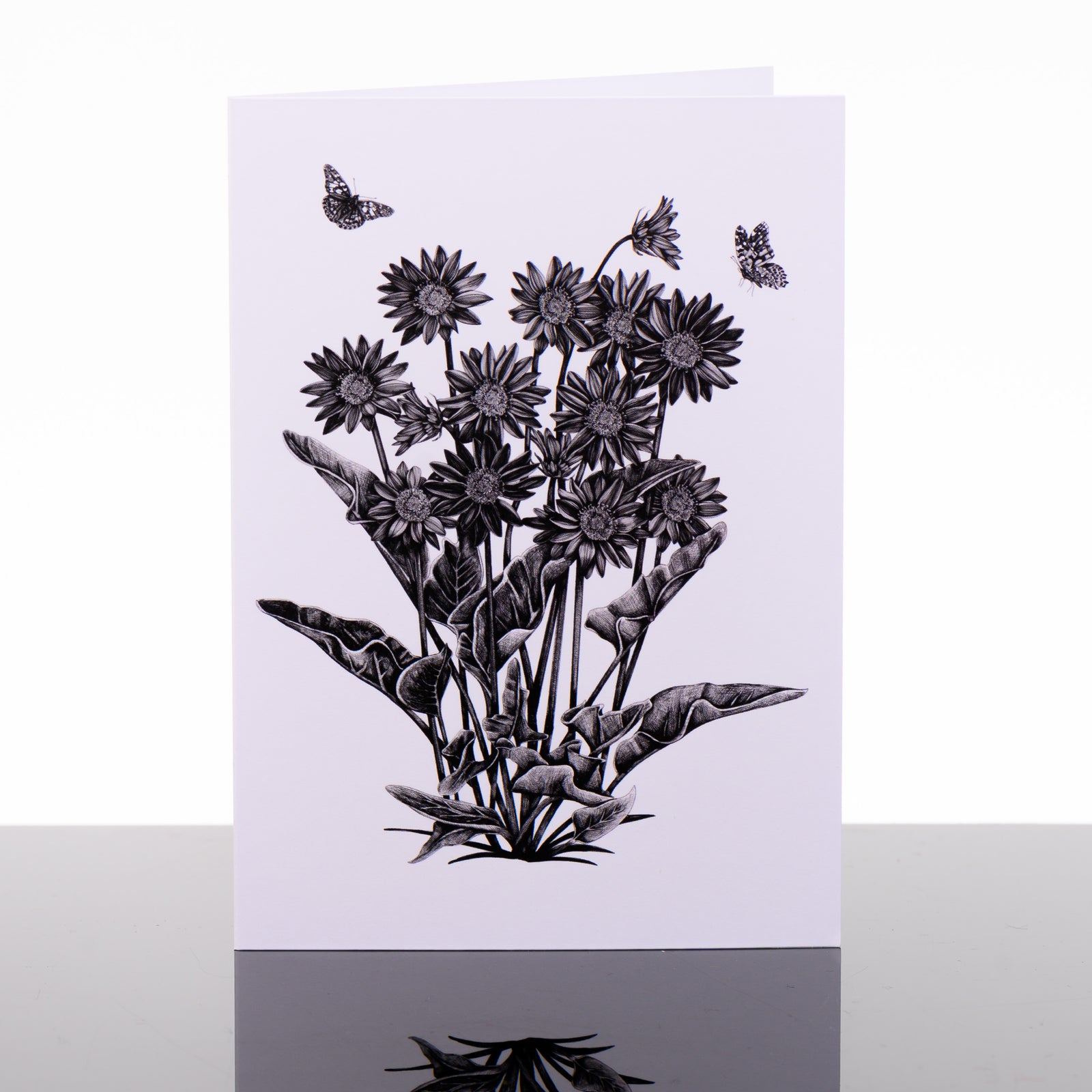 Blank greeting card featuring original black and white artwork by Brittany Finch - an arrowleaf balsamroot plant and a pair of hovering butterflies - made in Montana by Brittany Finch Art