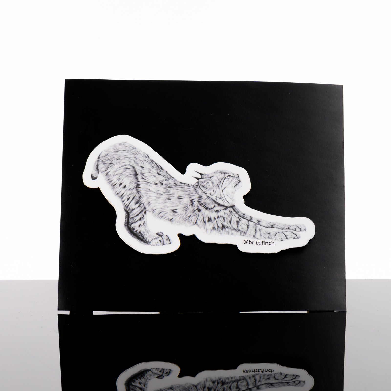 Black and white vinyl sticker featuring original artwork of the profile of a bobcat in the midst of a long stretch, made in Montana by Brittany Finch Art
