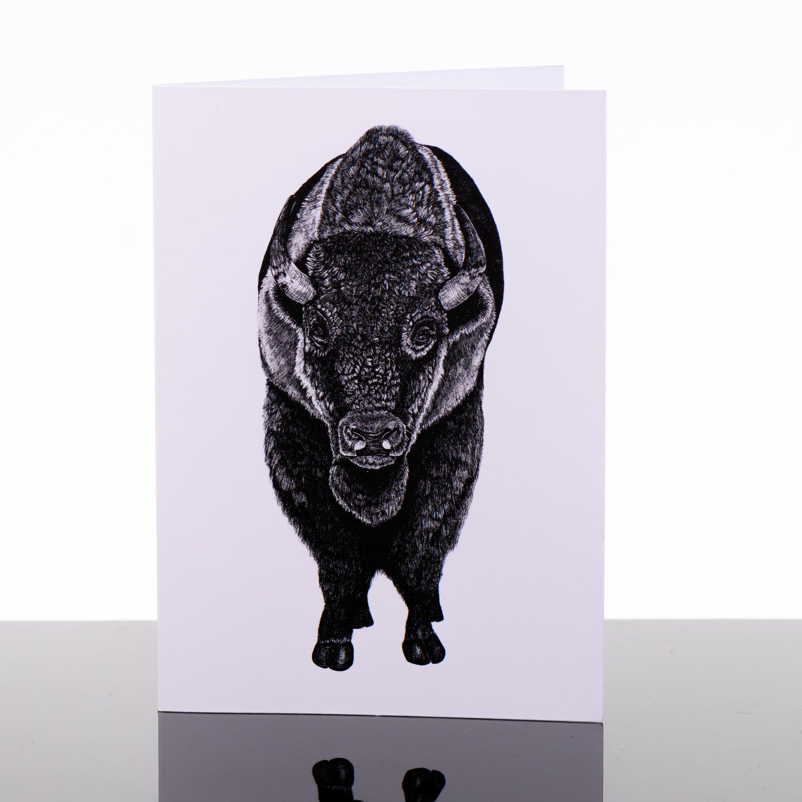 Blank greeting card featuring original black and white artwork by Brittany Finch - a bison, facing front - by Brittany Finch Art in Montana