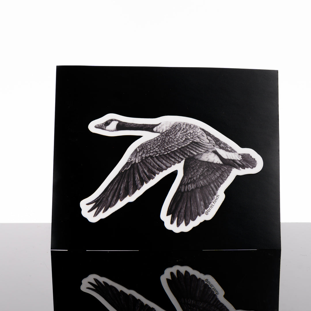 Black and white sticker featuring original artwork of a Canada goose in flight, made in Montana by Brittany Finch Art