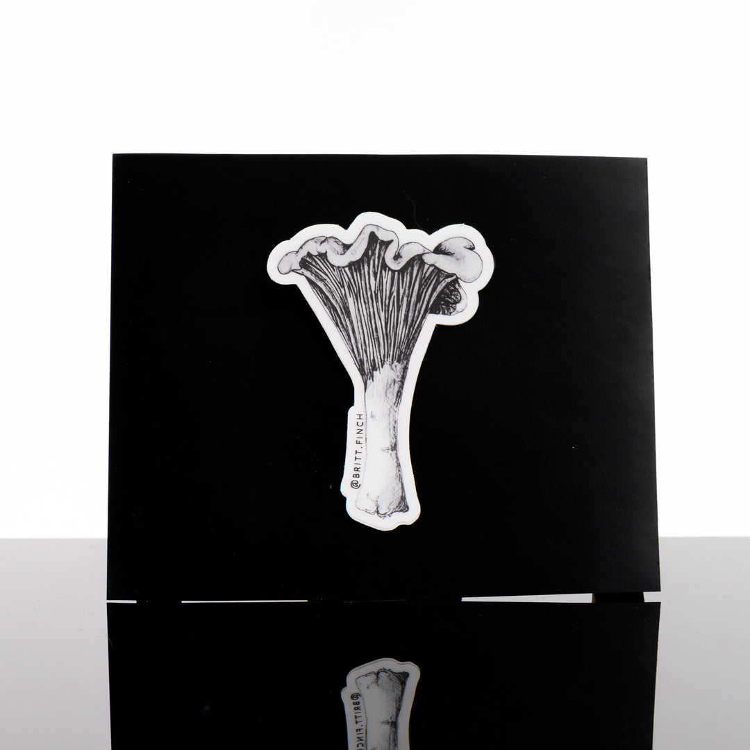 Black and white sticker featuring original artwork of a chanterelle mushroom on a black background, made in Montana by Brittany Finch Art