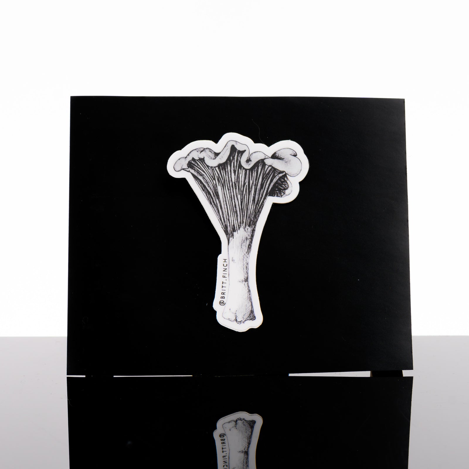 Black and white sticker featuring original artwork of a chanterelle mushroom on a black background, made in Montana by Brittany Finch Art