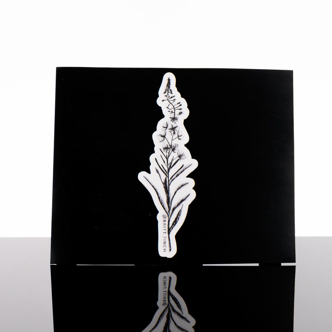 Black and white sticker featuring original artwork of a single fireweed stem on a black background, made in Montana by Brittany Finch Art