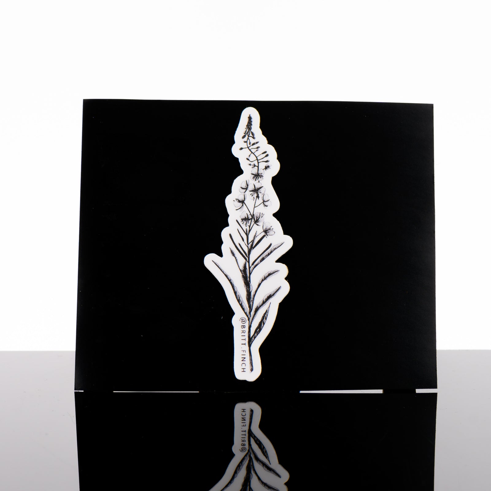 Black and white sticker featuring original artwork of a single fireweed stem on a black background, made in Montana by Brittany Finch Art