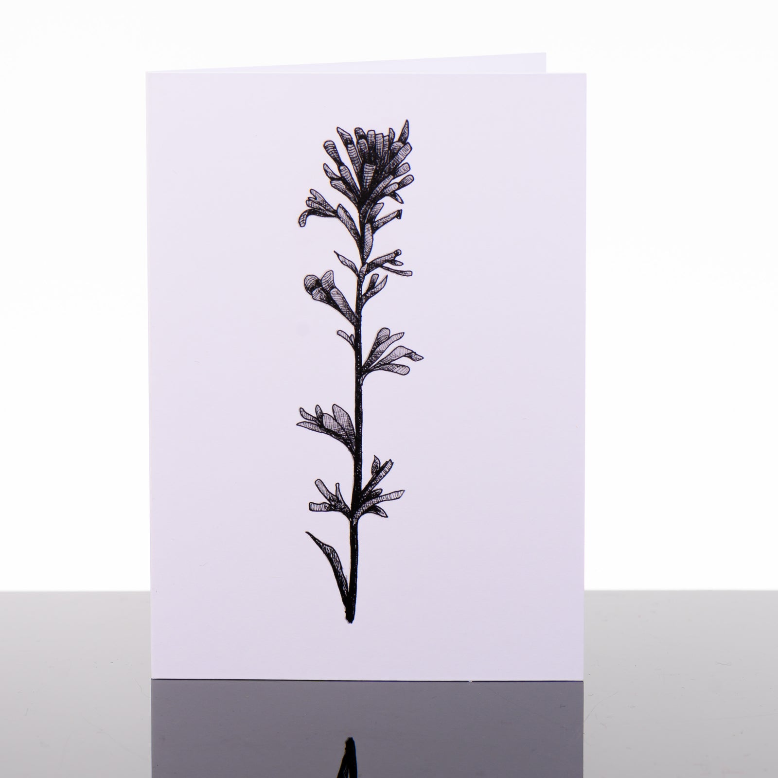 Blank greeting card featuring original black and white artwork by Brittany Finch - a single Indian Paintbrush stem and flower - by Brittany Finch Art in Montana