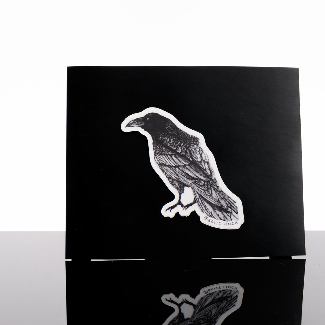 Black and white vinyl sticker featuring original artwork of a raven in profile, made in Montana by Brittany Finch Art