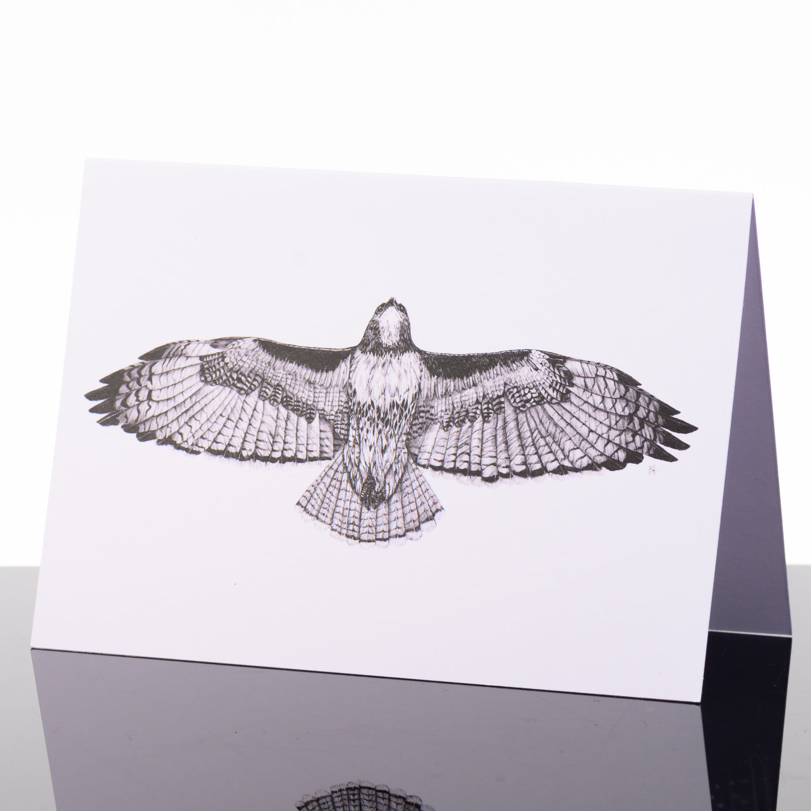 Blank greeting card featuring original black and white artwork by Brittany Finch - a soaring red-tailed hawk, wings outstretched - made in Montana by Brittany Finch Art