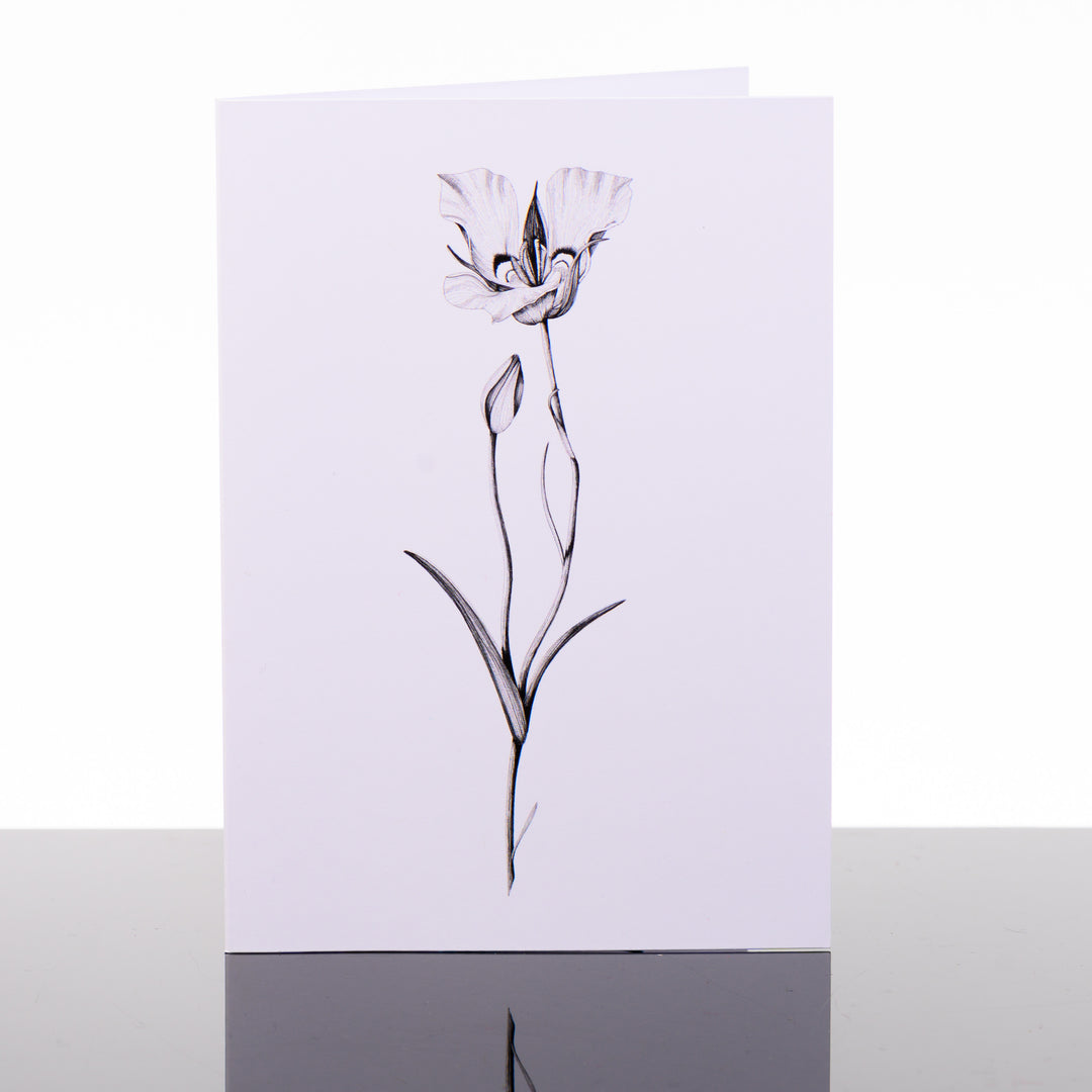 Blank greeting card featuring original black and white artwork by Brittany Finch - a single, elegant sego lily stem - made in Montana by Brittany Finch Art