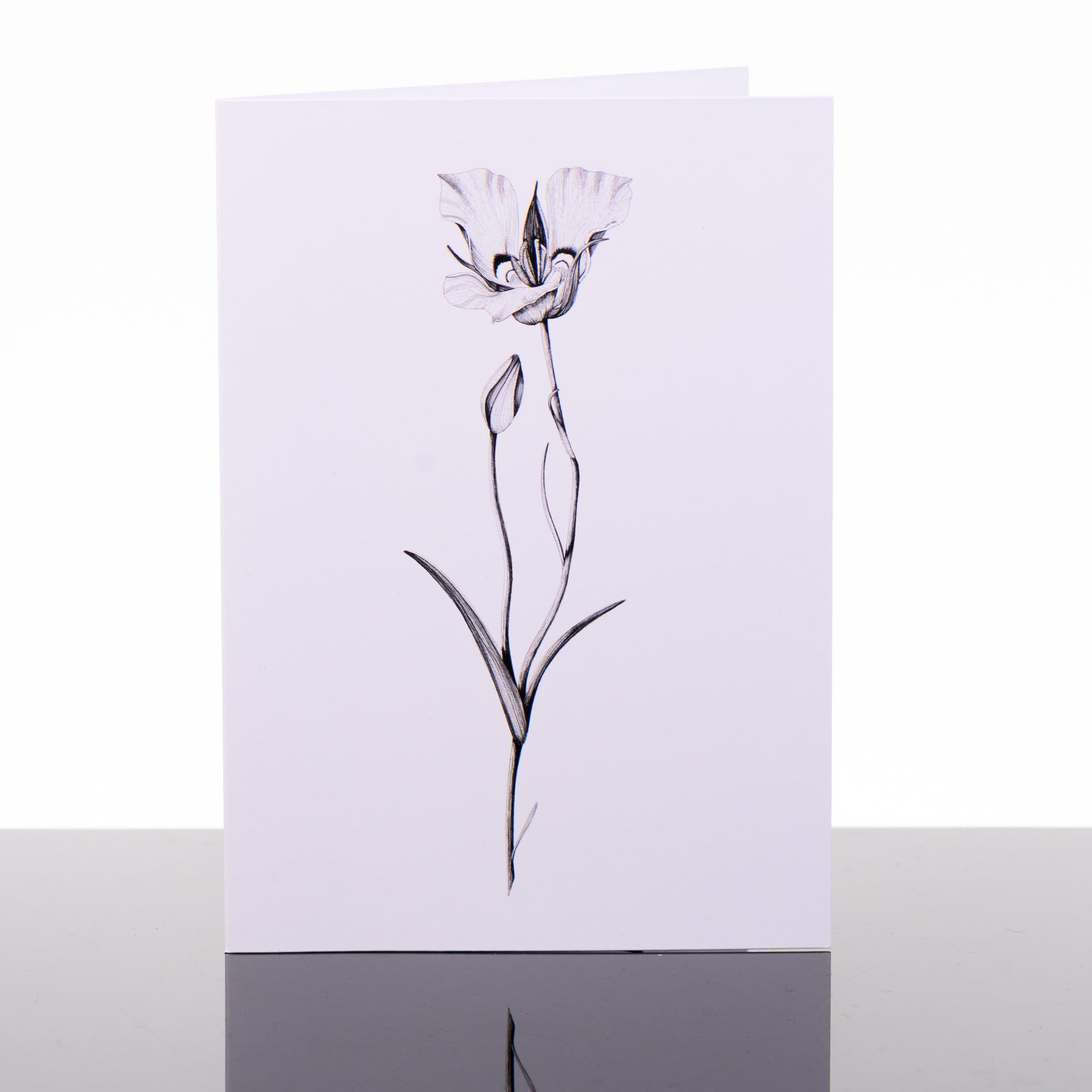 Blank greeting card featuring original black and white artwork by Brittany Finch - a single, elegant sego lily stem - made in Montana by Brittany Finch Art