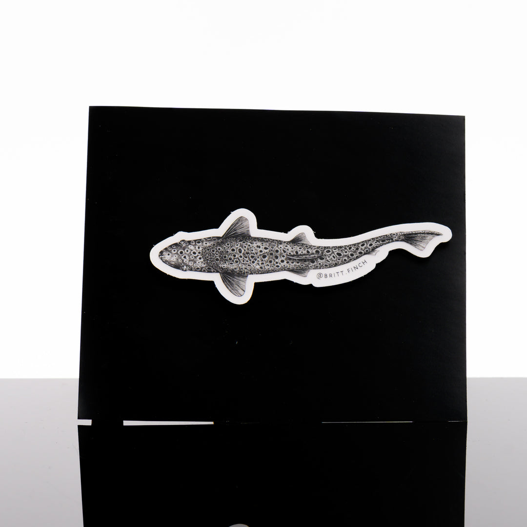 Black and white vinyl sticker featuring original artwork of a swimming brown trout viewed from above, made in Montana by Brittany Finch Art