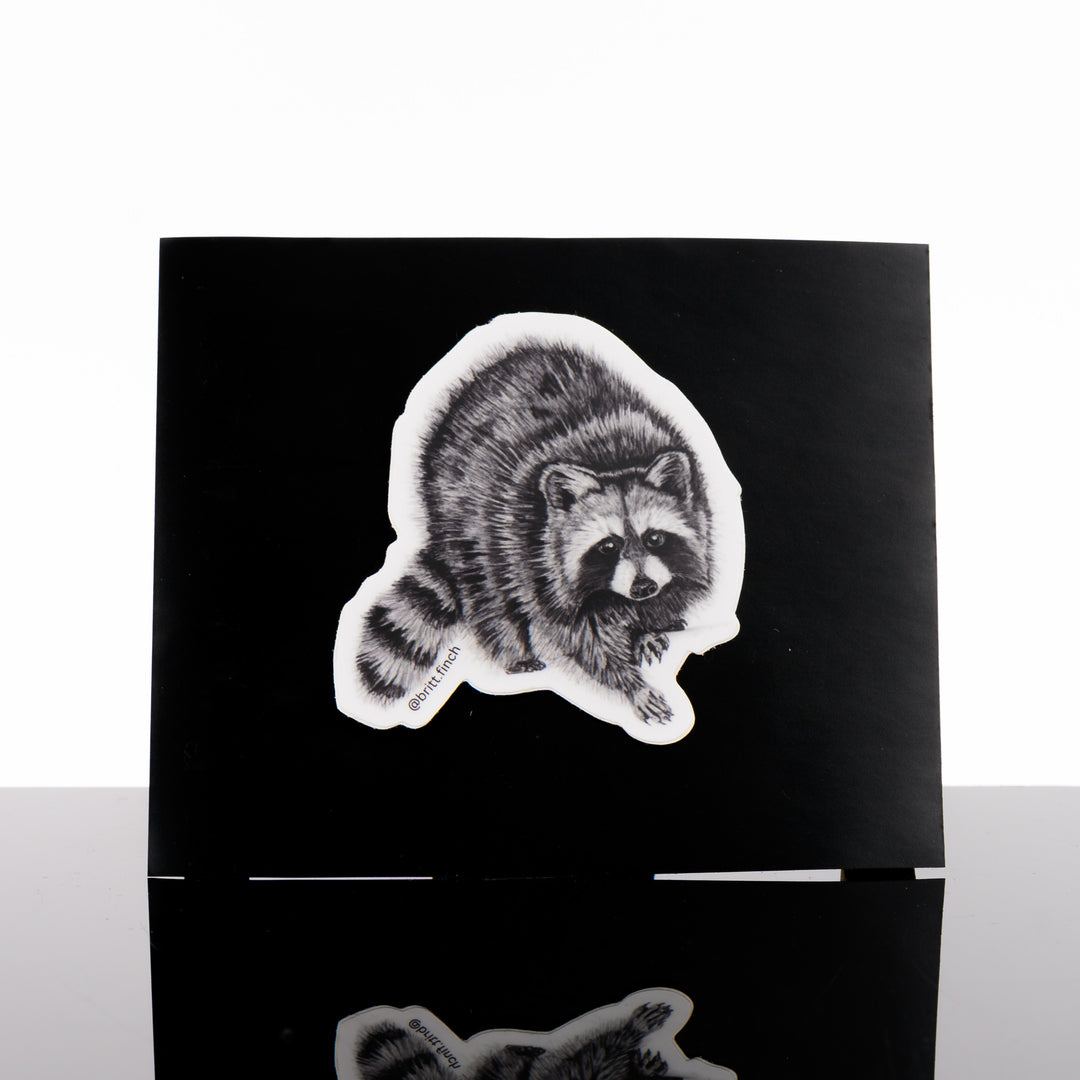 Black and white vinyl sticker featuring original artwork of a mischievous racoon, mid-stride, made in Montana by Brittany Finch Art