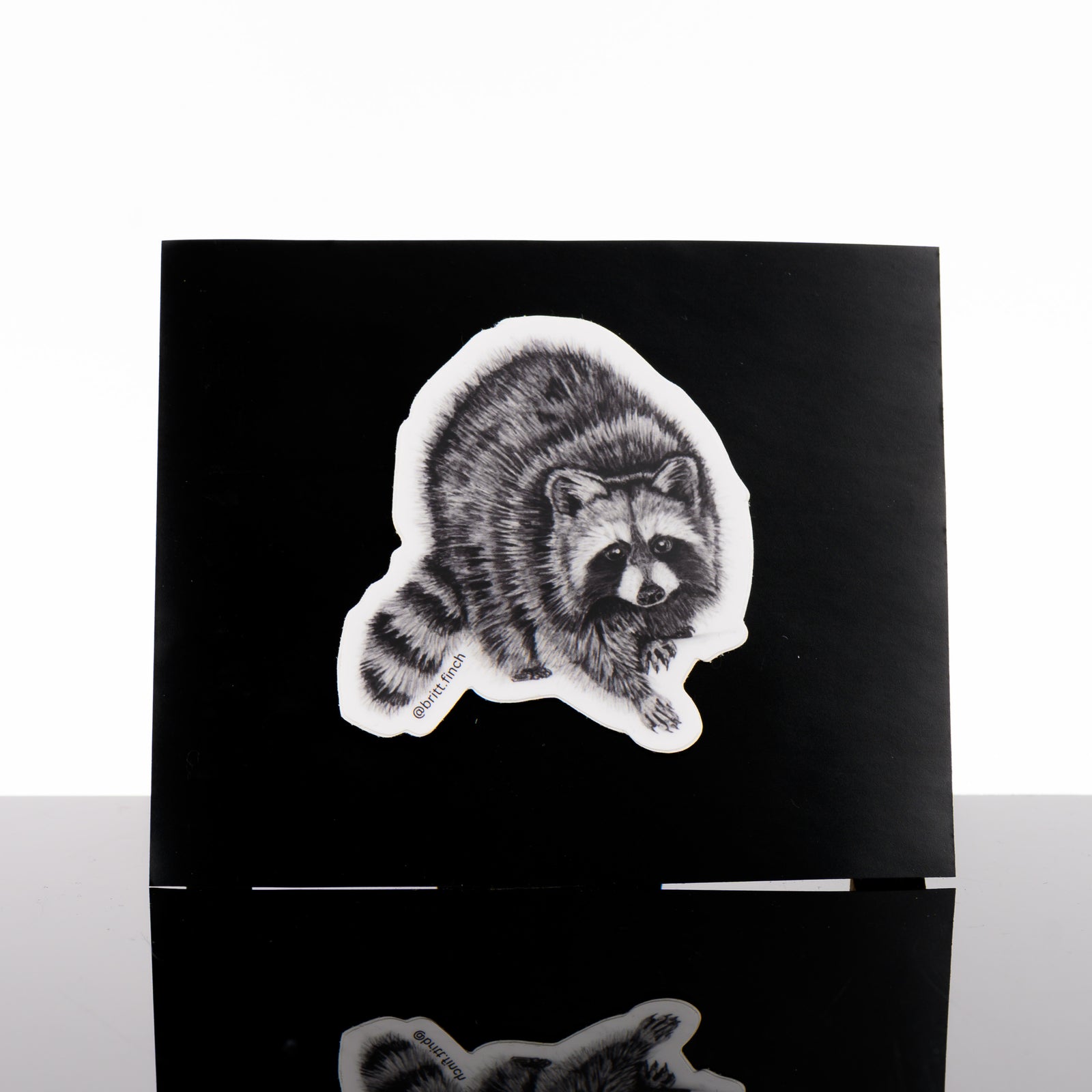 Black and white vinyl sticker featuring original artwork of a mischievous racoon, mid-stride, made in Montana by Brittany Finch Art