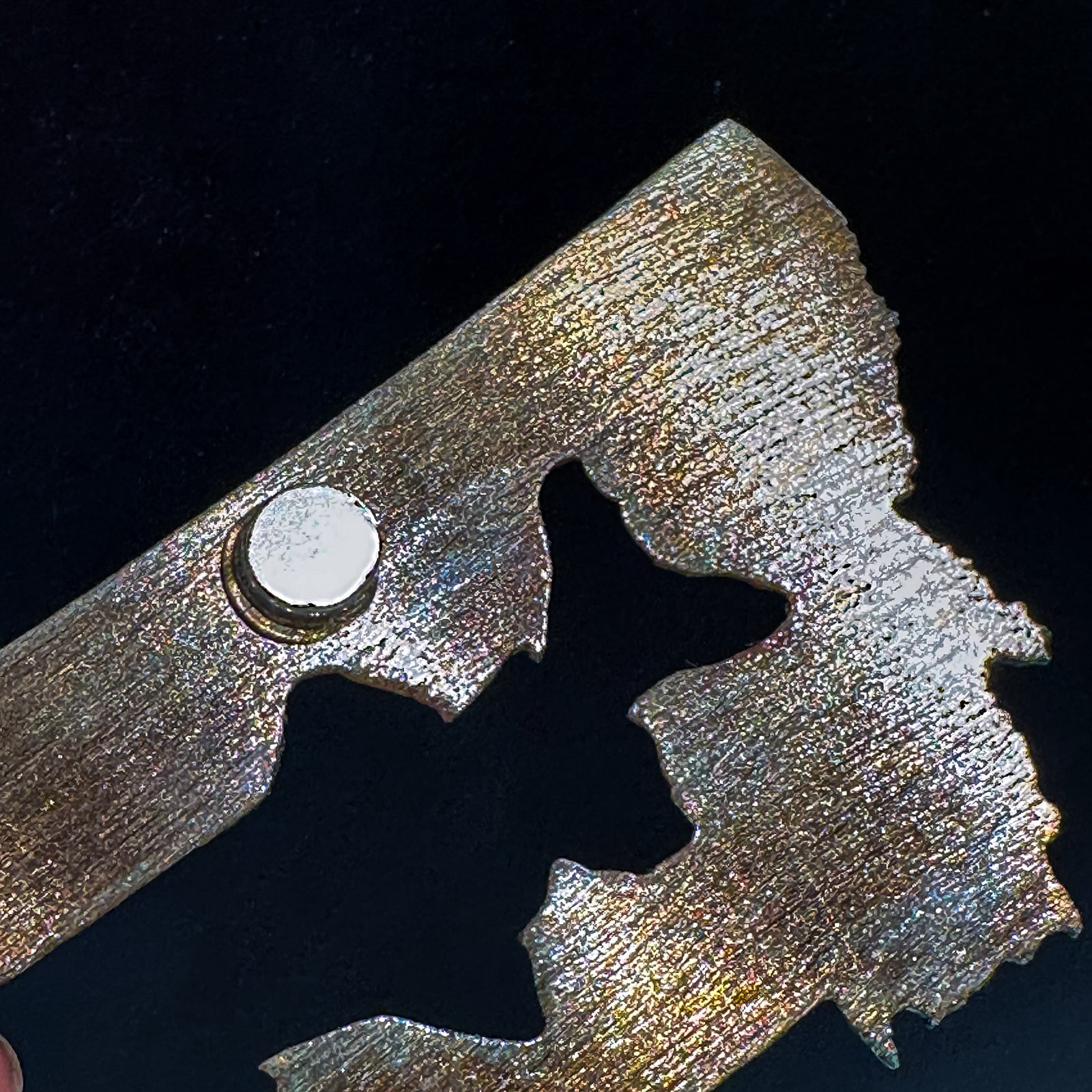 A made in Montana state-shaped cut-out with a Trout silhouette embedded in it and a strong back magnet.