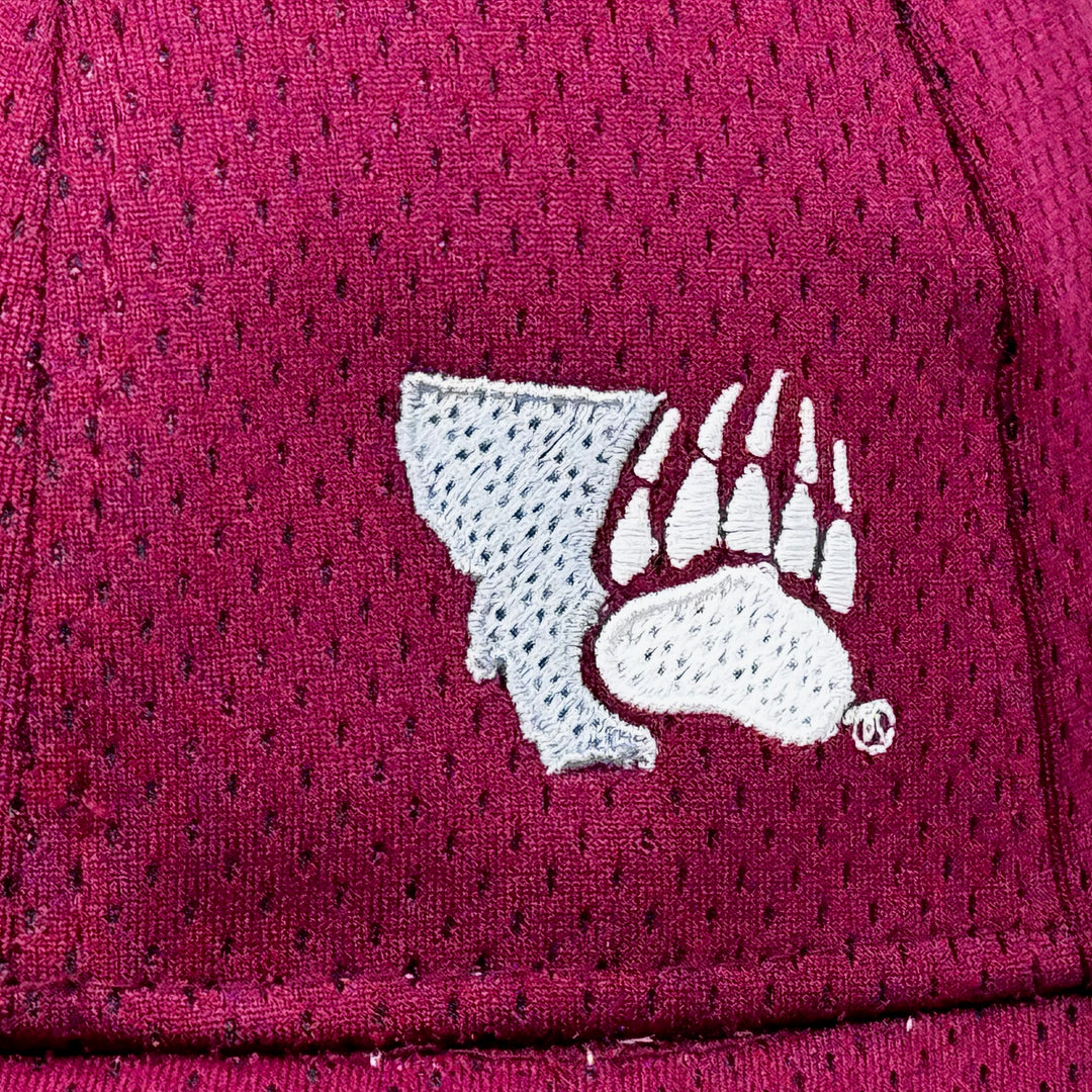 Blue Peaks Creative's maroon Youth Athletic Mesh Hat embroidered with the Montana Grizzlies Paw design in silver and white (detail)