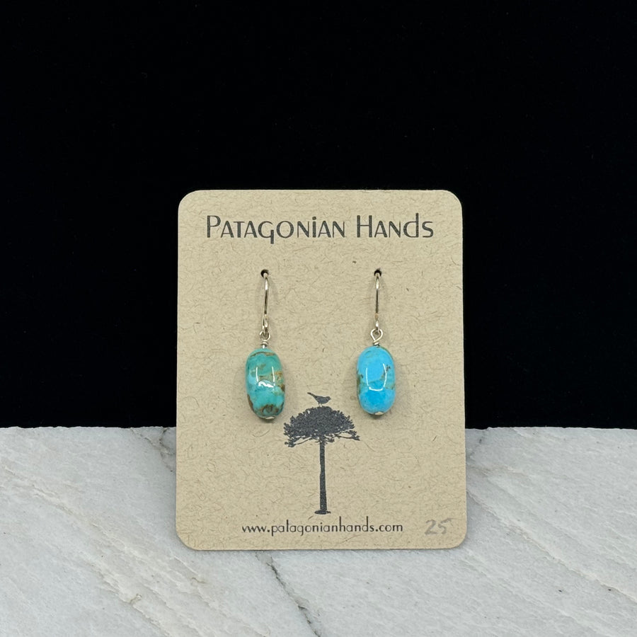 Pair of Kingman Turquoise and Sterling Silver (.925) Earrings by Patagonian Hands, on card