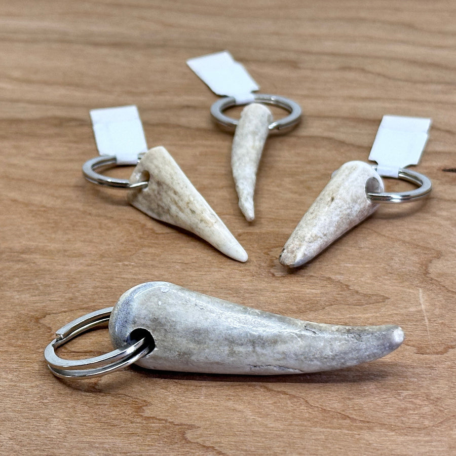 406 Antlery natural antler keychains, various sizes