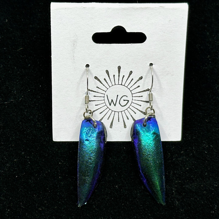 Pair of Blue Jewel Beetle Elytra Earrings with Stainless Steel Wires by Woodland Goth Creations, on card
