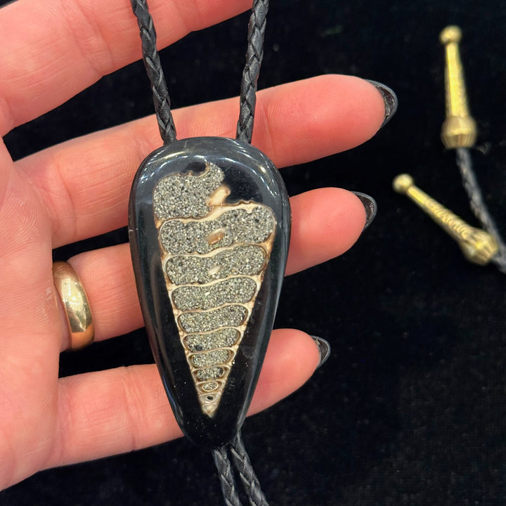 A close up of a fossilized shell center piece on a bolo tie with black cord and metal tips