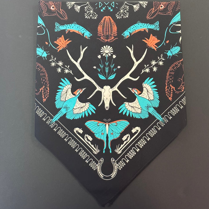 Bob Marshall Wilderness - Black Bandana