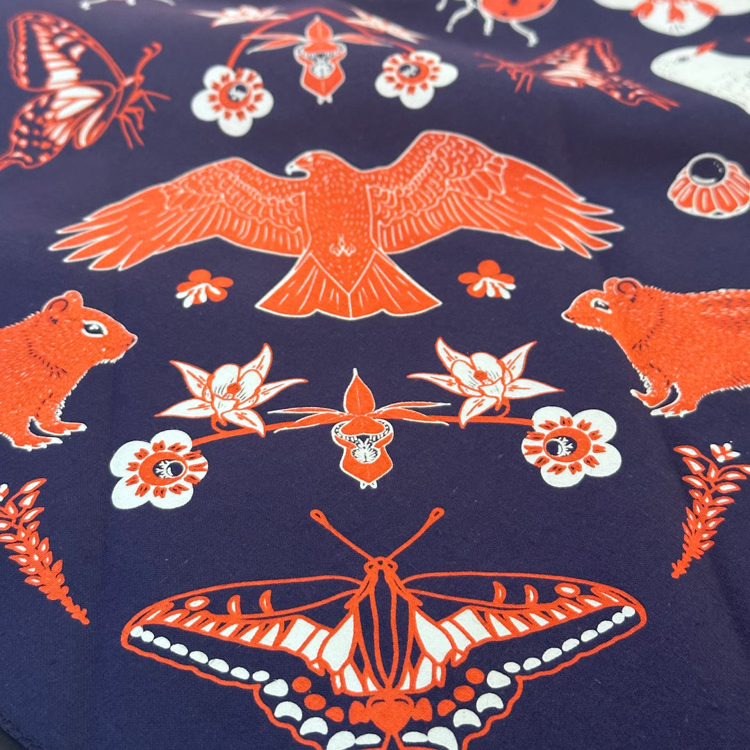 Hyalite Canyon Bandana - Bozeman, Montana