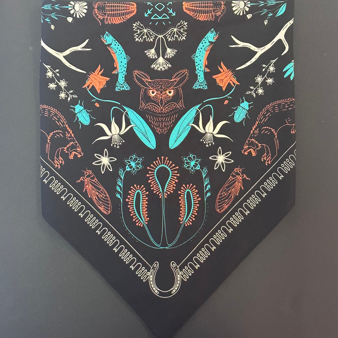 Bob Marshall Wilderness - Black Bandana