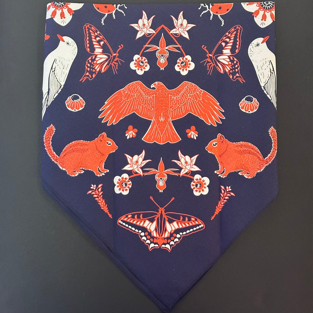 Hyalite Canyon Bandana - Bozeman, Montana