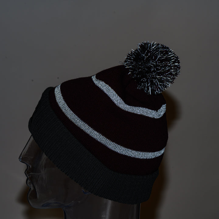 Holloway Reflective Pom Beanie - Montana Paw