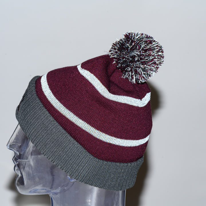 Holloway Reflective Pom Beanie - Montana Paw