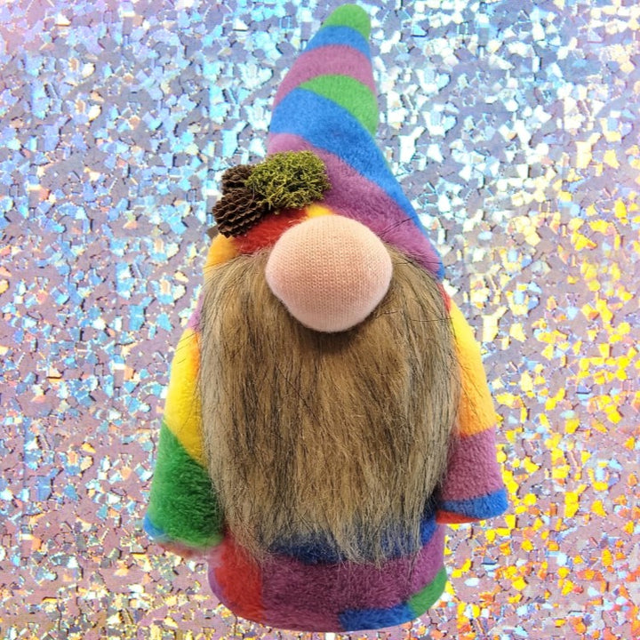 Rainbow Companion Gnome