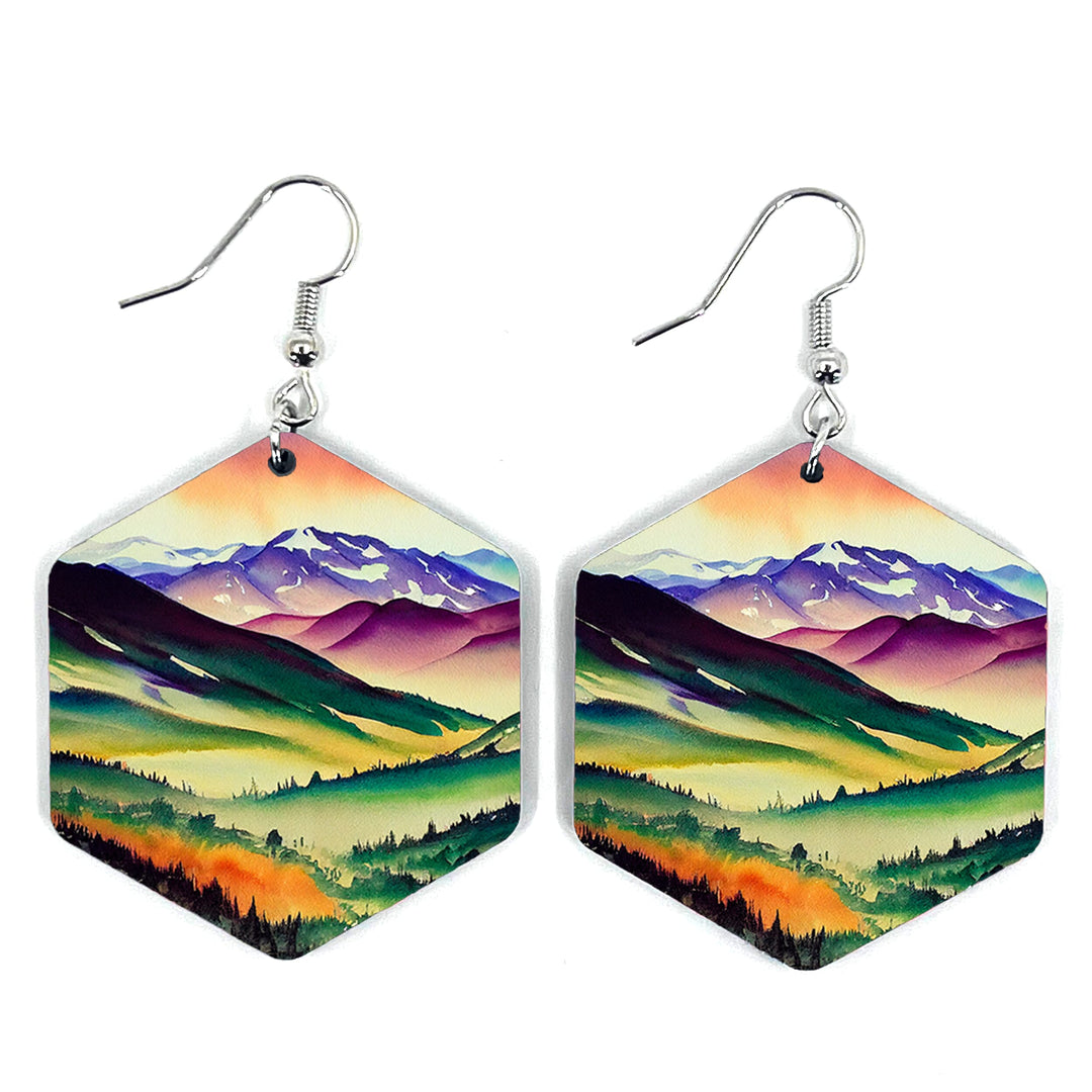 Colorful Valley Hexagon Earring
