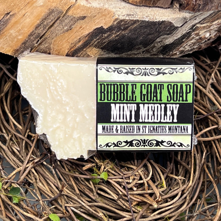 Mint Medley Bubble Goat Soap