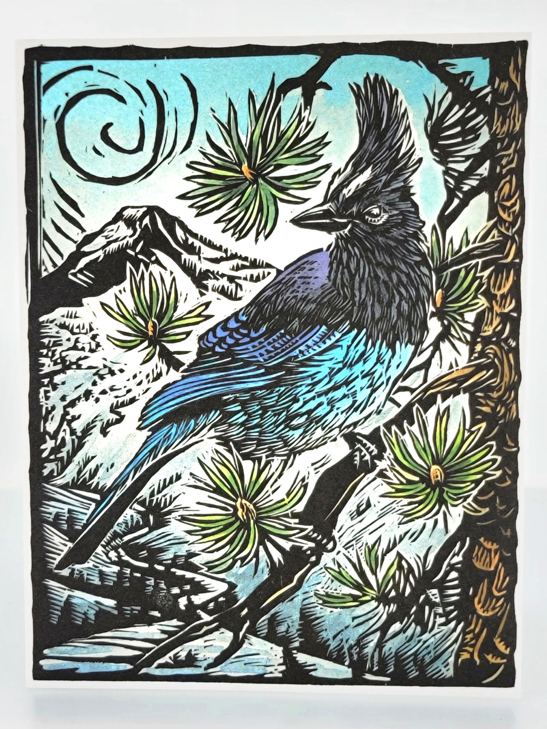 Stellar's Jay Card