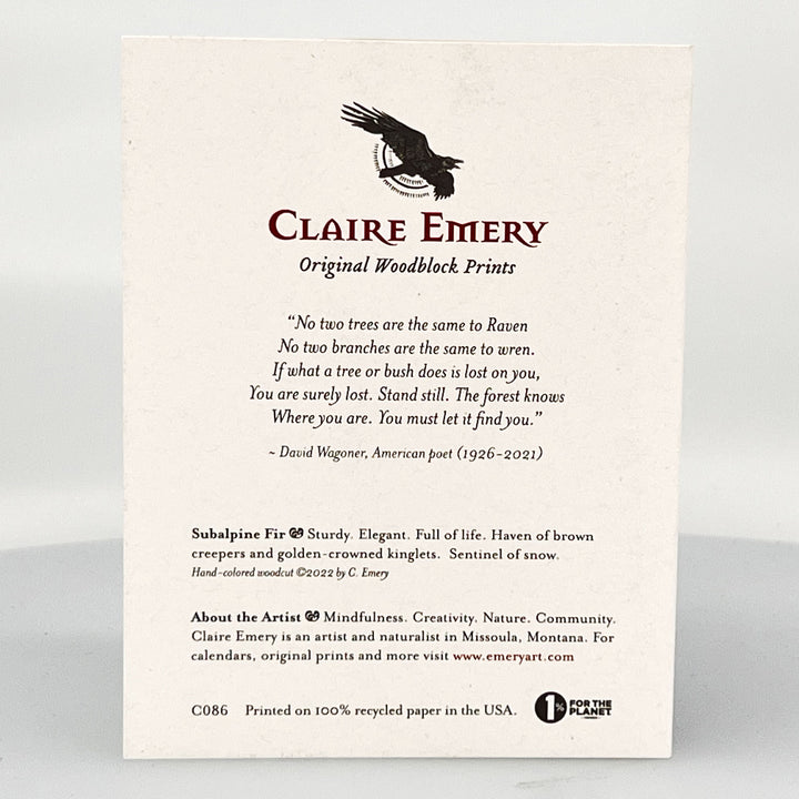 Subalpine Fir Card