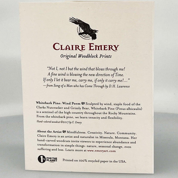 Whitebark Pine: Wind Poem Card