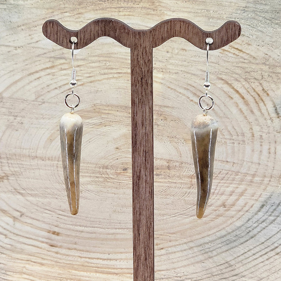 Pair of antler earrings with natural tips from 406 Antlery